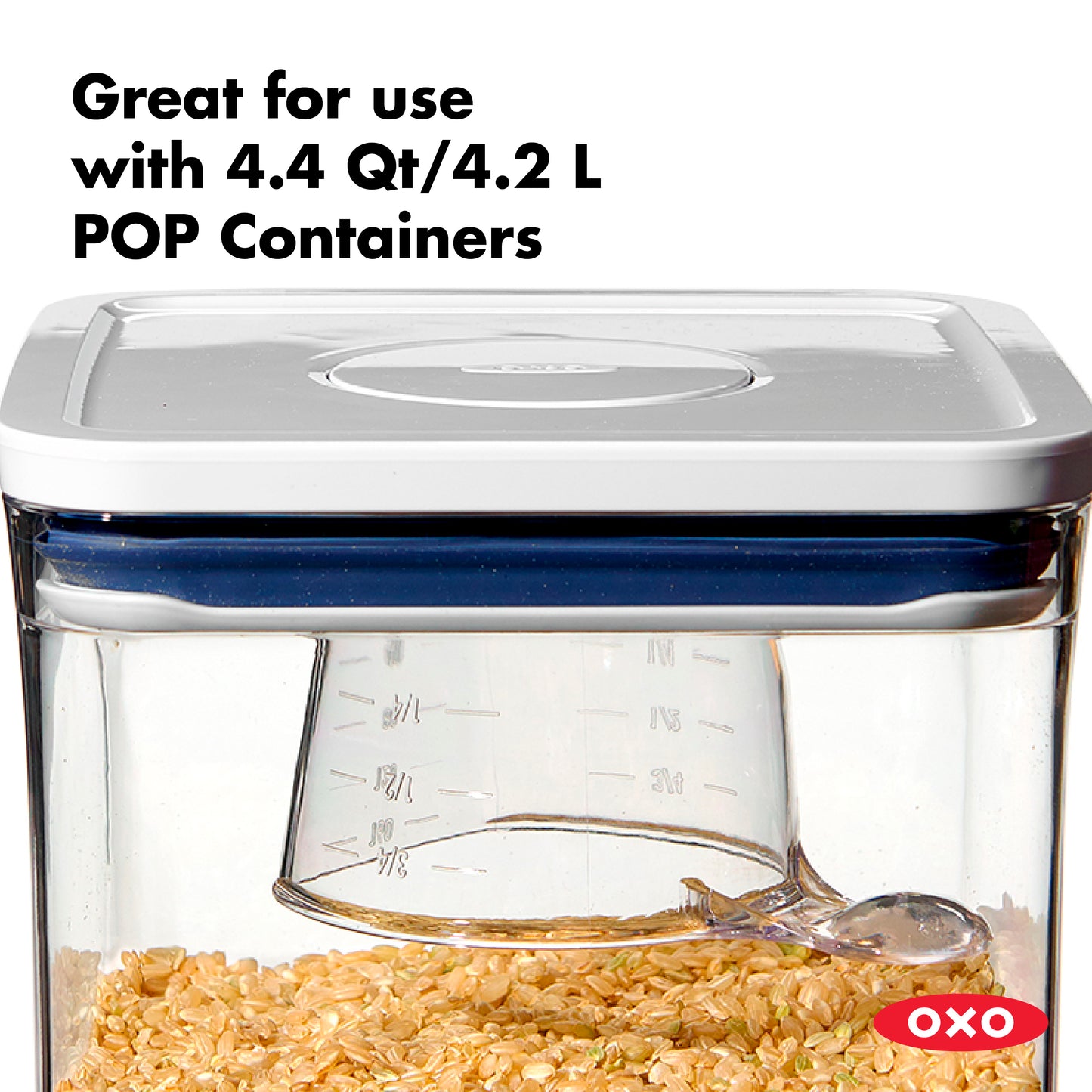 ช้อนตักข้าวสาร เซ็ท 3 ชิ้น I OXO Pop Container Rice Cup 3PC